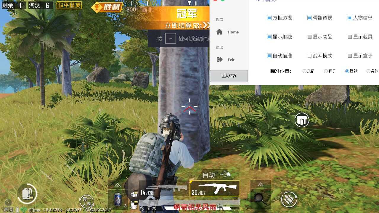和平精英GY_game方框透视自瞄辅助 自瞄,TC辅助网www.tcsq1.com9160