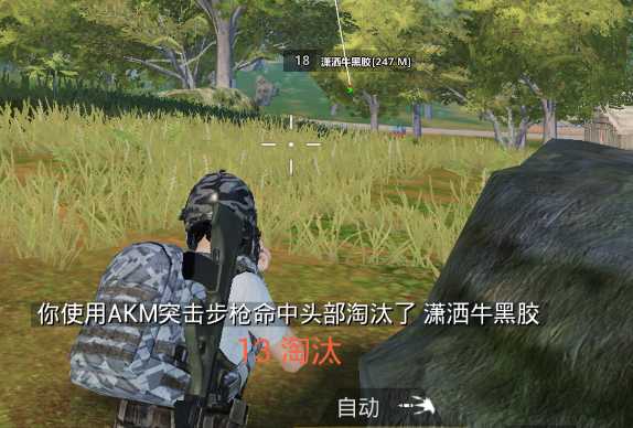 2.23和平精英国服孽杀0220【云更新检测数据】破解版 TC辅助网www.tcsq1.com4903