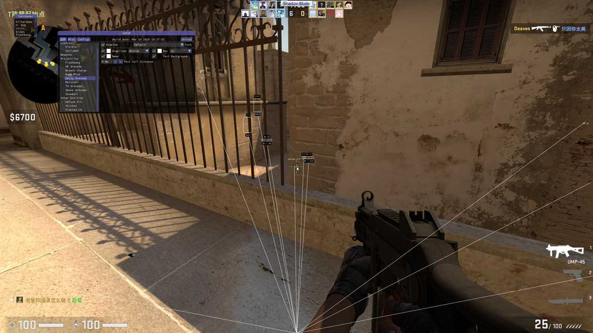 CSGO老外辅助论坛透视DLL 附带注入器 TC辅助网www.tcsq1.com85