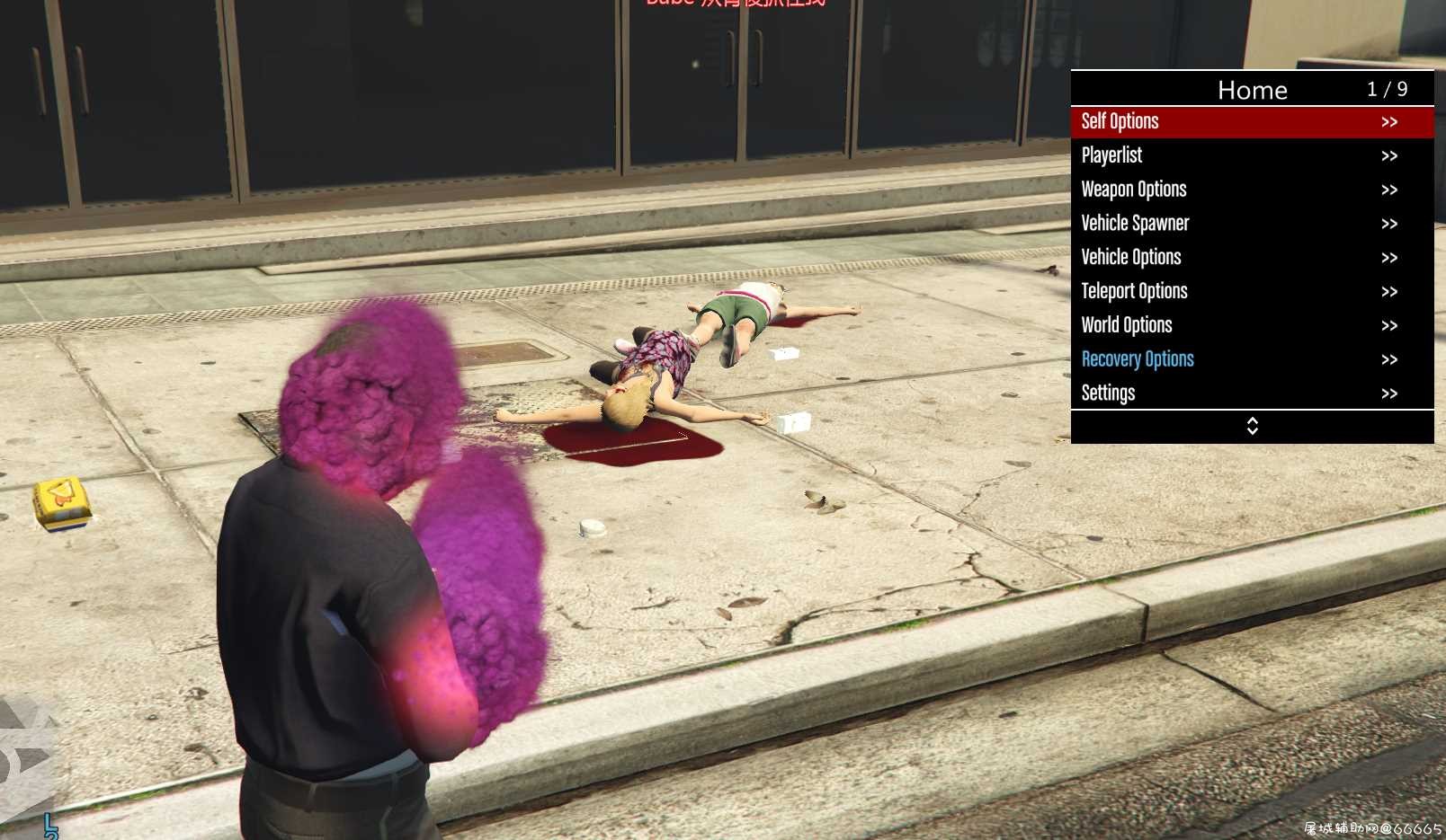 GTA5线上作弊菜单 Raptor（外网搬运） TC辅助网www.tcsq1.com3089