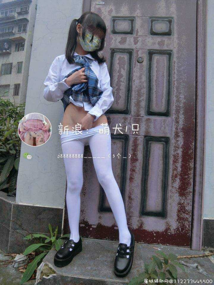 萌犬一只26套合集整理[904P+78V2.6GB] TC辅助网www.tcsq1.com5711
