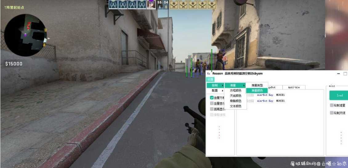 CSGO Reason外部绘制演技辅助 5.6最新版 TC辅助网www.tcsq1.com6678