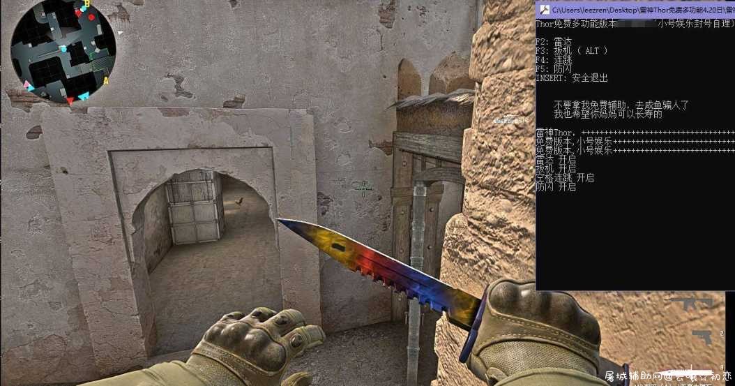 CSGO 每日5E辅助-Thor(5.6日)发光|雷达|连跳|扳机|防闪 TC辅助网www.tcsq1.com7793