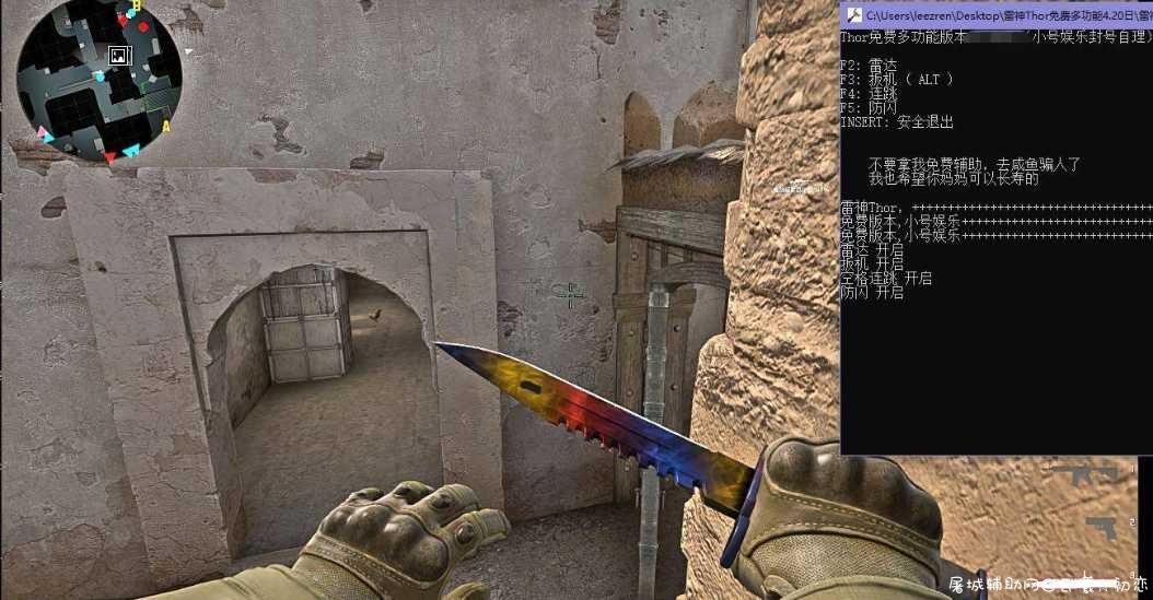 CSGO每日5E辅助Thor(5.10日)发光|雷达|连跳|扳机|防闪 TC辅助网www.tcsq1.com9919