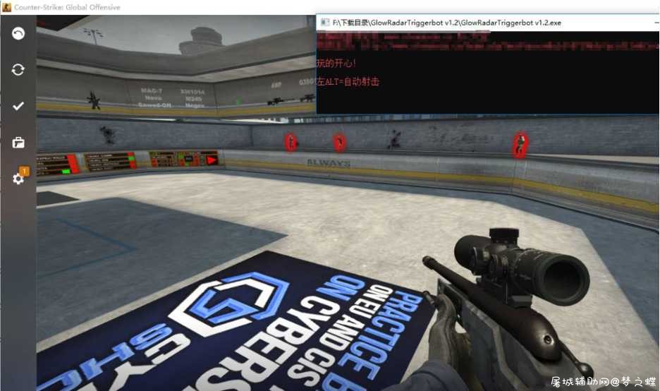 CSGO发光透视雷达透视自动射击 v1.2 TC辅助网www.tcsq1.com8721
