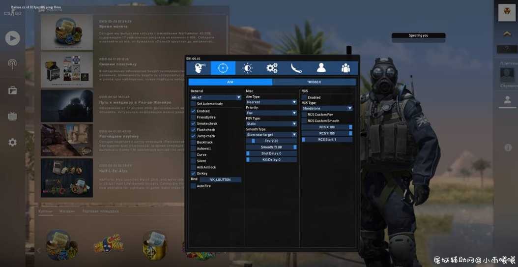 CSGO Balioo-多功能辅助DLL老外辅助网出品 TC辅助网www.tcsq1.com7597