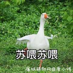 签到榜靓仔路过 TC辅助网www.tcsq1.com9807