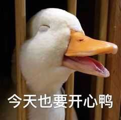签到榜靓仔路过 TC辅助网www.tcsq1.com2808
