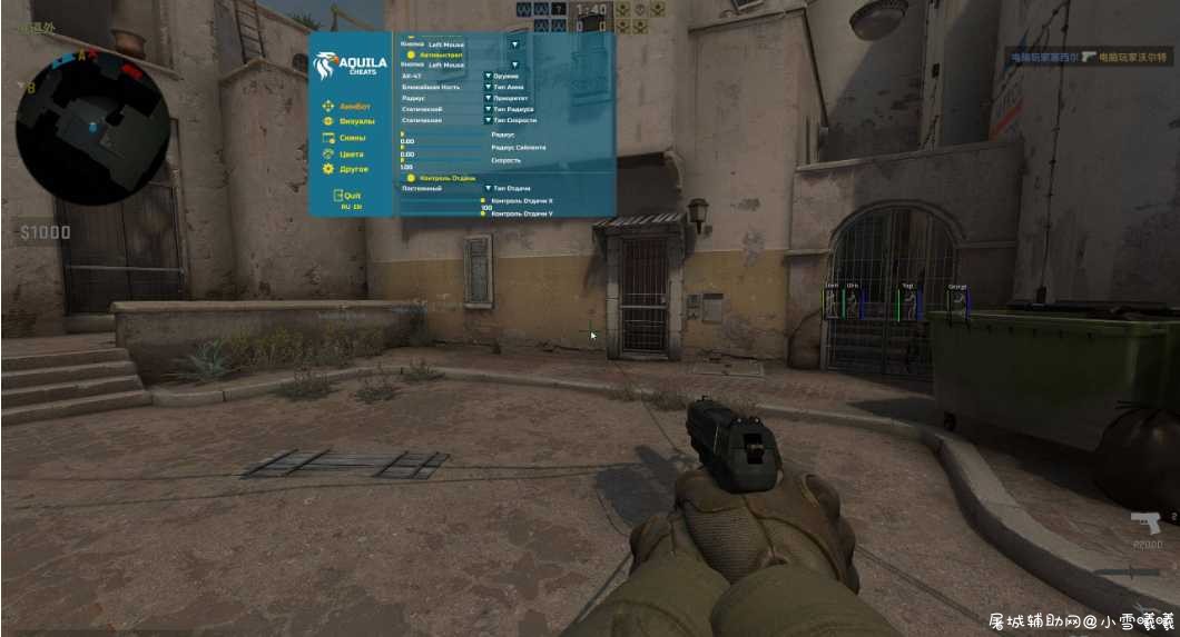 csgo天鹰座多款透视+自瞄辅助老外破解版 TC辅助网www.tcsq1.com325