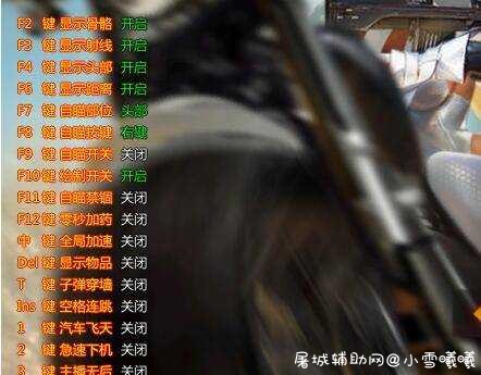HYXD上市辅助天狼透视自瞄隐身多功能破解 TC辅助网www.tcsq1.com9889