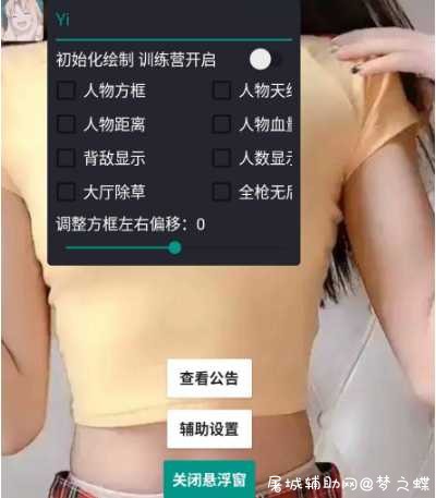 小幻破解和平上市辅助绘制Yi TC辅助网www.tcsq1.com4712