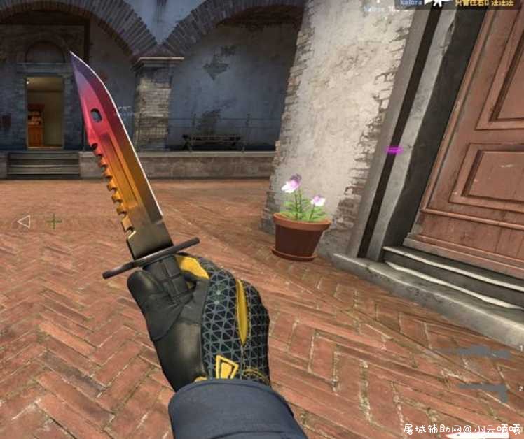 CSGO V3自用演技 全武器全皮肤 TC辅助网www.tcsq1.com6554