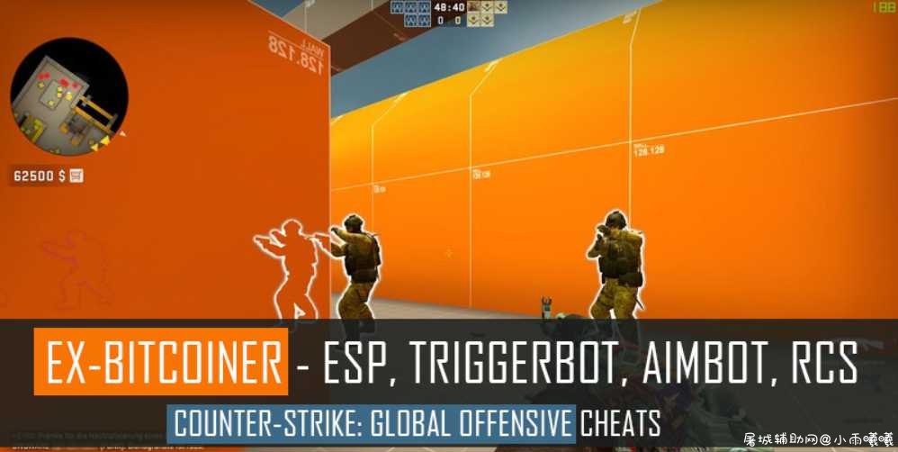 CSGO前比特币-Ex-Bitcoiner透视自瞄防闪等 TC辅助网www.tcsq1.com9361