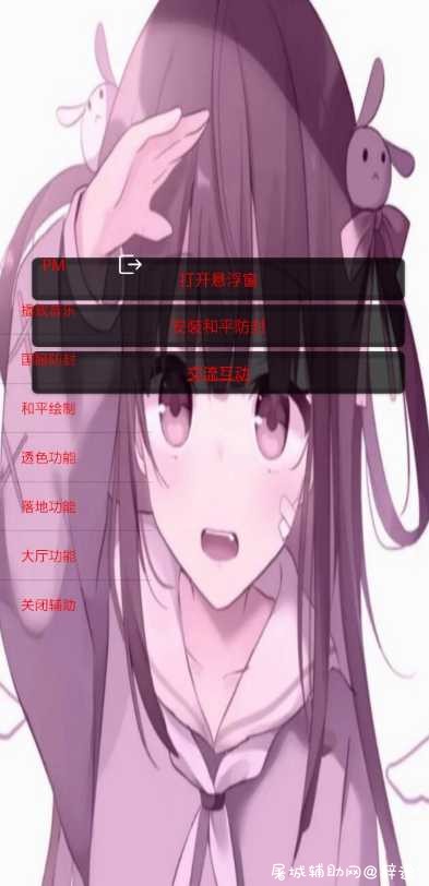 和平精英国服-小熙防封+变态辅助破解版 TC辅助网www.tcsq1.com1738