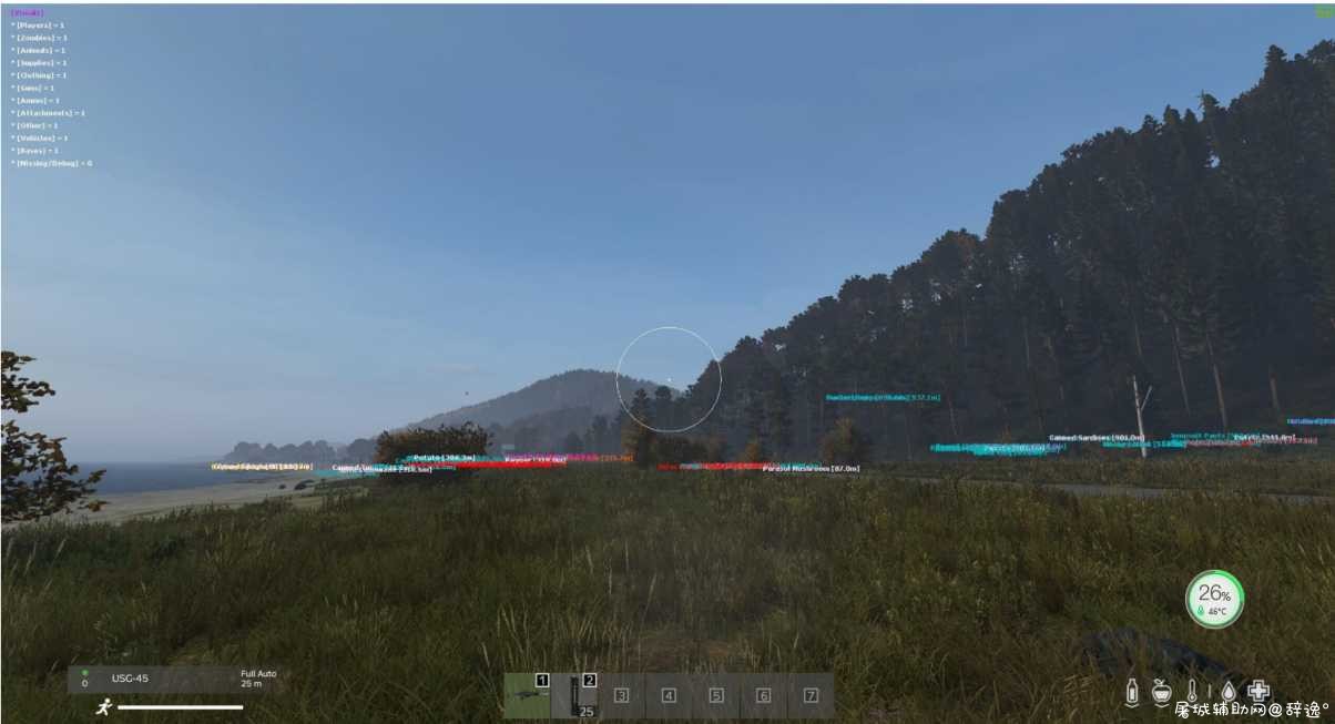 Dayz最新透视人物加速辅助 TC辅助网www.tcsq1.com5909