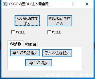 CSGO小胖驱动注入器R0级别自带V3 DLL 顶级摇头参 TC辅助网www.tcsq1.com9299