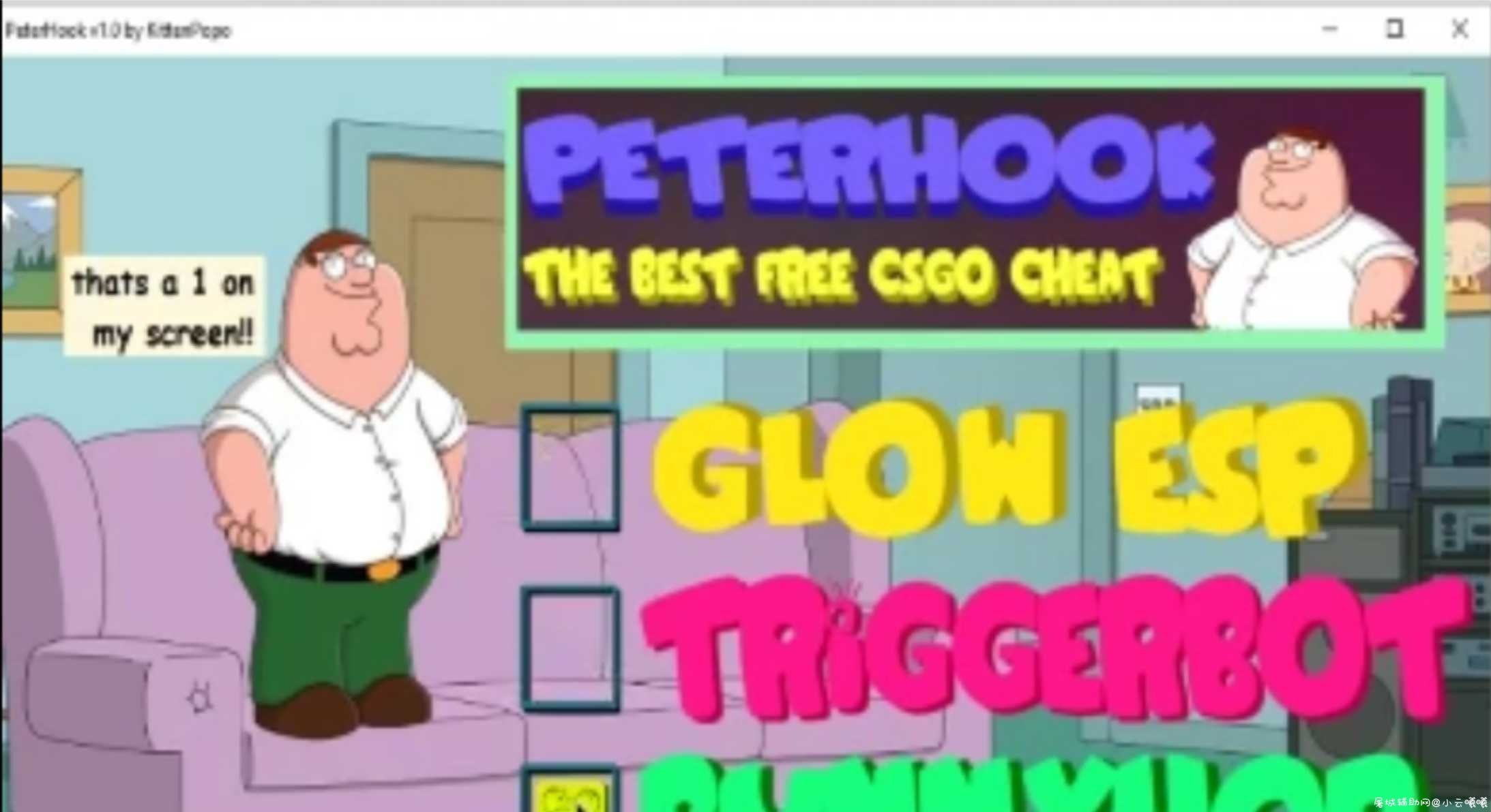 CSGO peterhook发光透视辅助（带教程） TC辅助网www.tcsq1.com9714