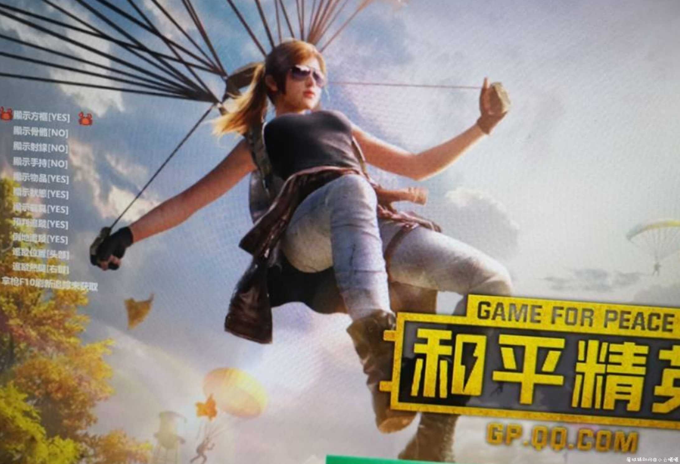 和平精英抖音国服多功能辅助破解版 TC辅助网www.tcsq1.com7763