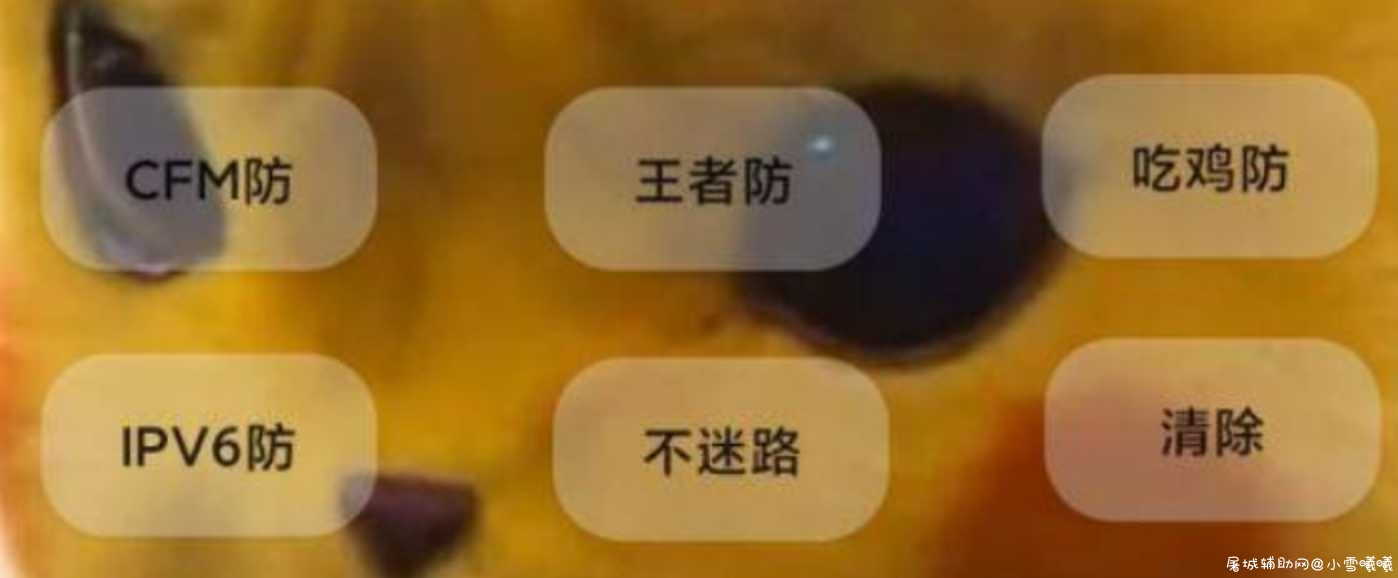 王者吃鸡防国服正式服吃鸡稳定防11.3 TC辅助网www.tcsq1.com2146