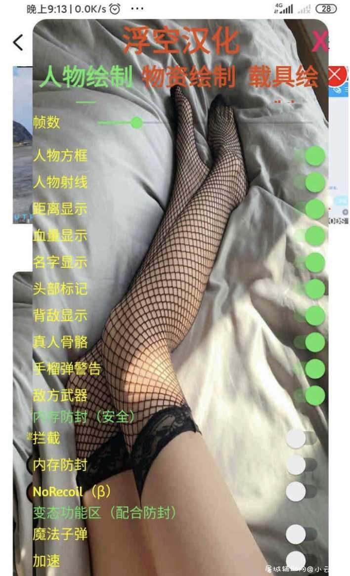 PUBGMOBILE国际服裸奔绘制辅助Apk TC辅助网www.tcsq1.com2821