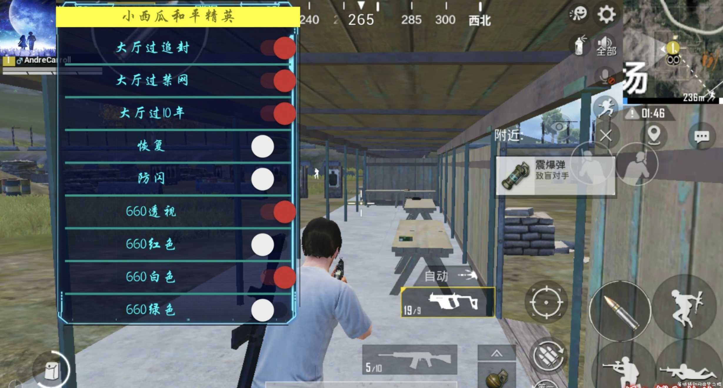 和平精英国服660+835通用透色插件 TC辅助网www.tcsq1.com5599
