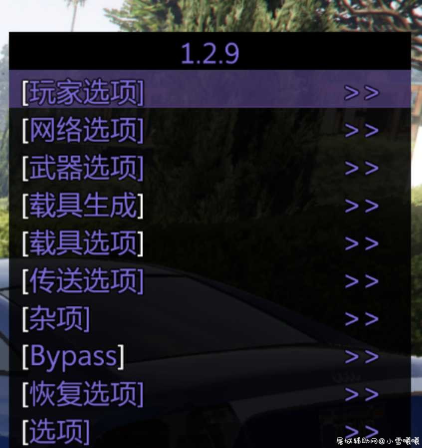 GTA5 iVritex1.2.9免费辅助/汉化/安全 TC辅助网www.tcsq1.com819