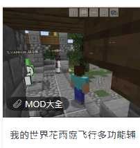 我的世界花雨庭飞行多功能辅助脚本 TC辅助网www.tcsq1.com6795