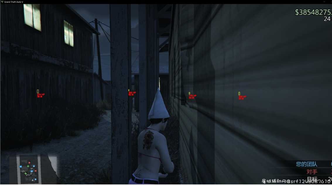 GTA5最新D3D外部透视辅助 TC辅助网www.tcsq1.com7421