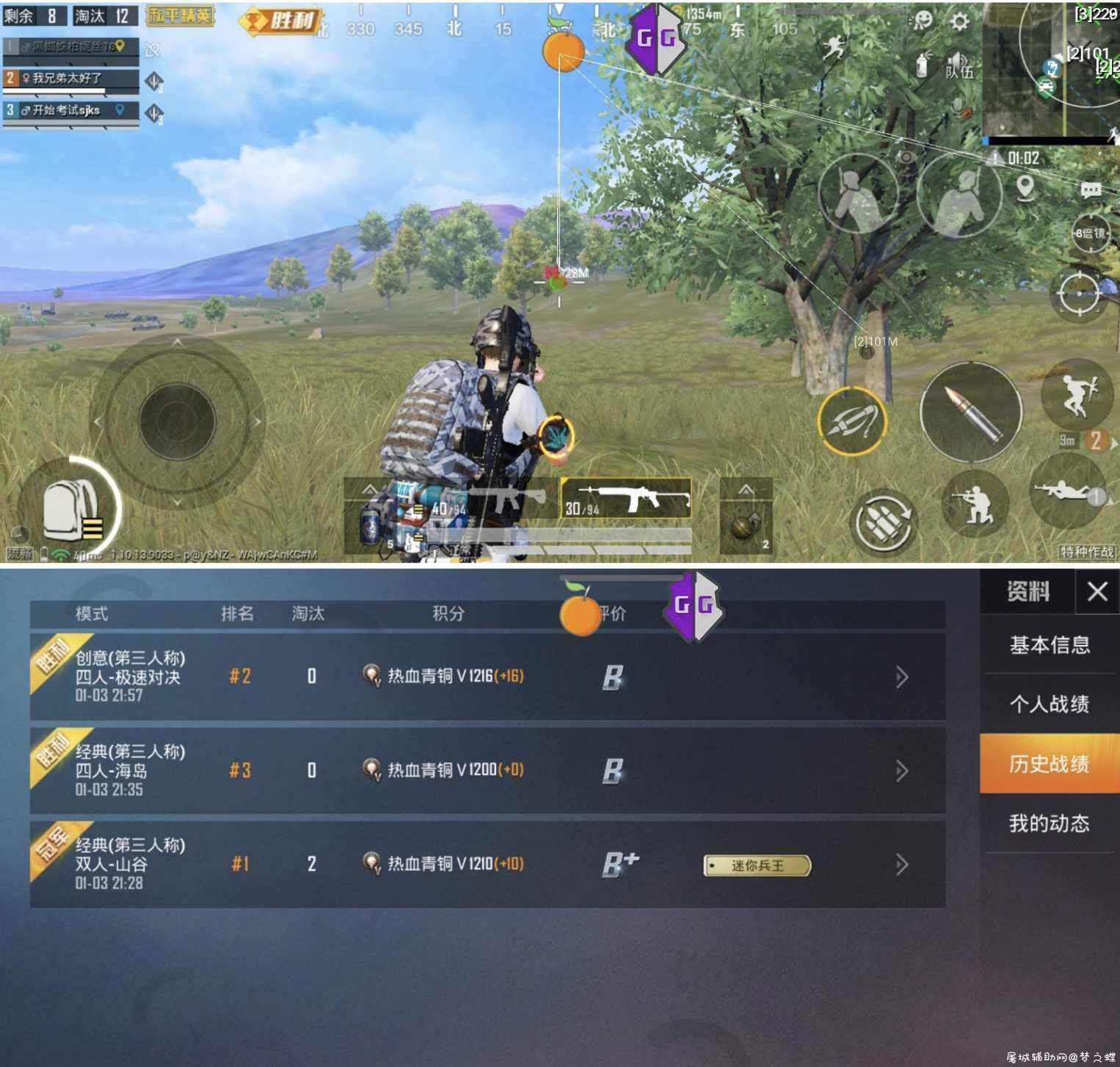 和平精英内防橘子 防十年 防三方 防禁网 TC辅助网www.tcsq1.com4744
