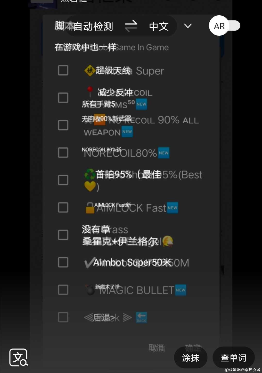 国际服裸奔辅助脚本 TC辅助网www.tcsq1.com6111
