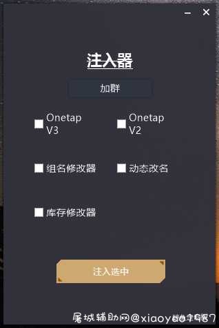 CSGO最新注入器 TC辅助网www.tcsq1.com9808