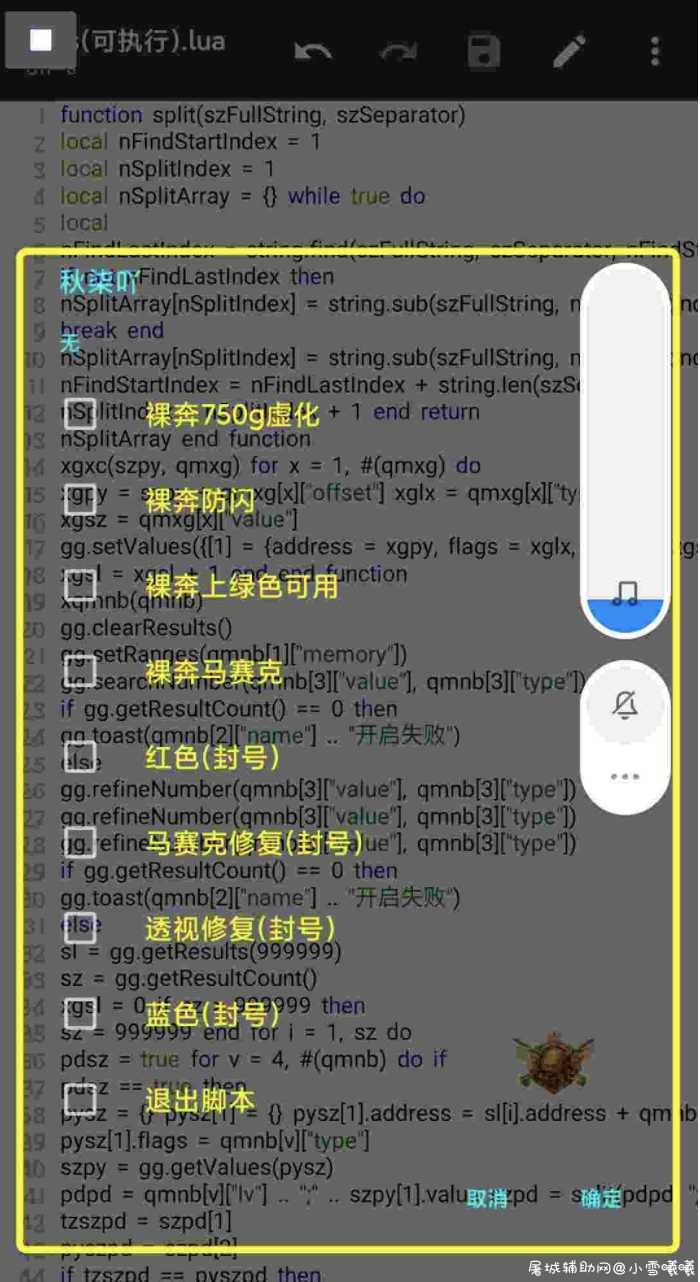 和平精英国服 骁龙750g裸奔上黄绿色 TC辅助网www.tcsq1.com3247
