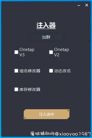 CSGO DLL 纯净注入器AIN TC辅助网www.tcsq1.com1843