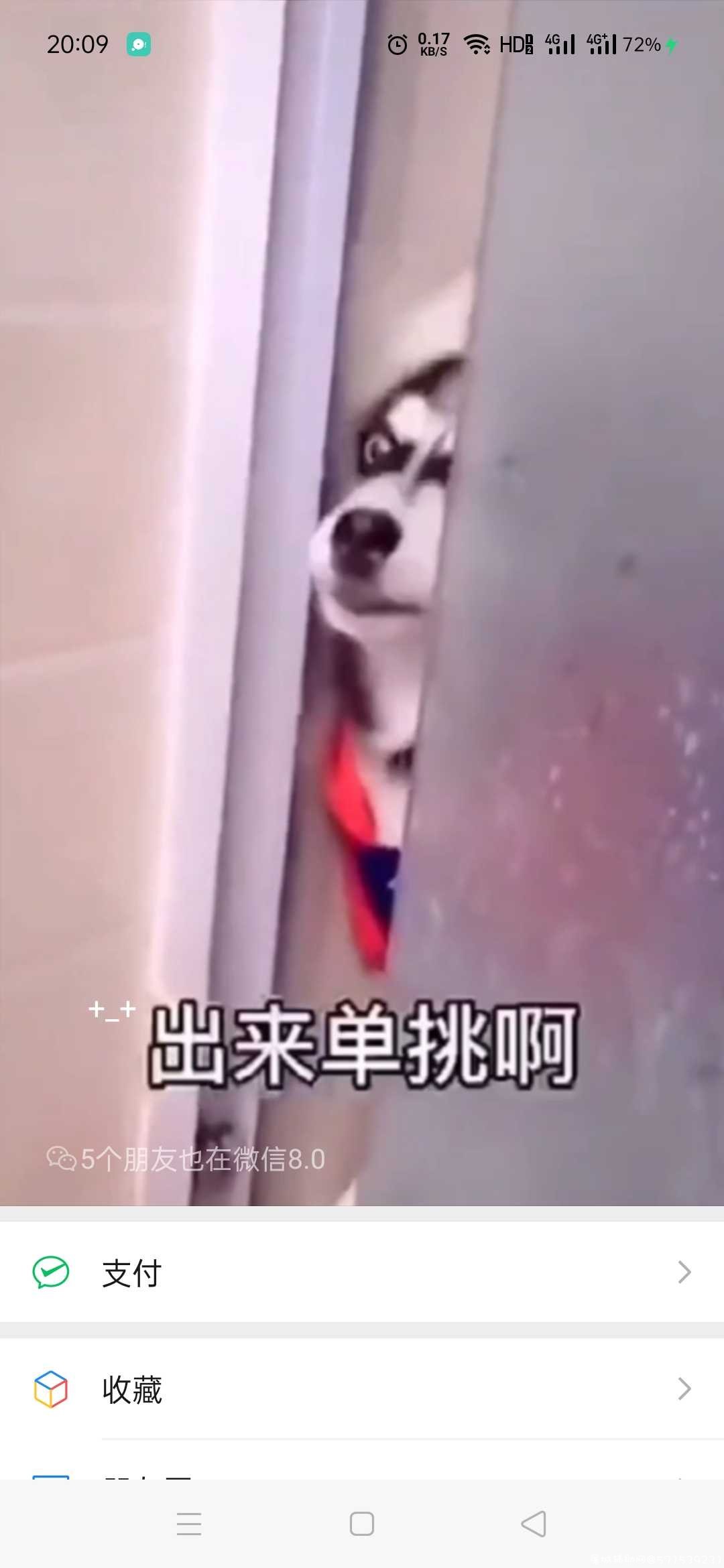 二哈单挑，微信8.0背景视频 TC辅助网www.tcsq1.com5570