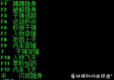 荒野行动黄盖V1.31稳定单板自瞄方框辅助破解版 TC辅助网www.tcsq1.com2226