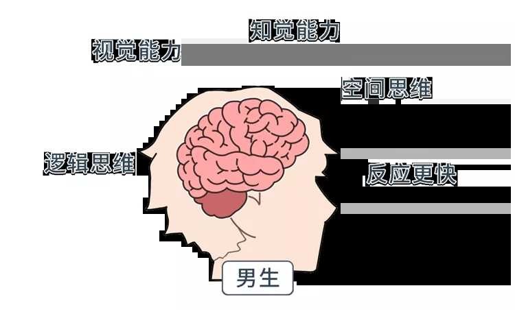 女生哪里最敏感？ TC辅助网www.tcsq1.com632