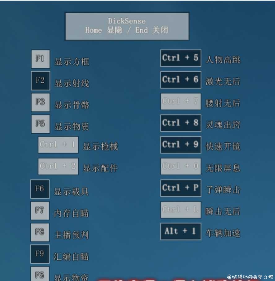 PUBGLite免费多功能辅助 Dicksense DS 全网首发 TC辅助网www.tcsq1.com629