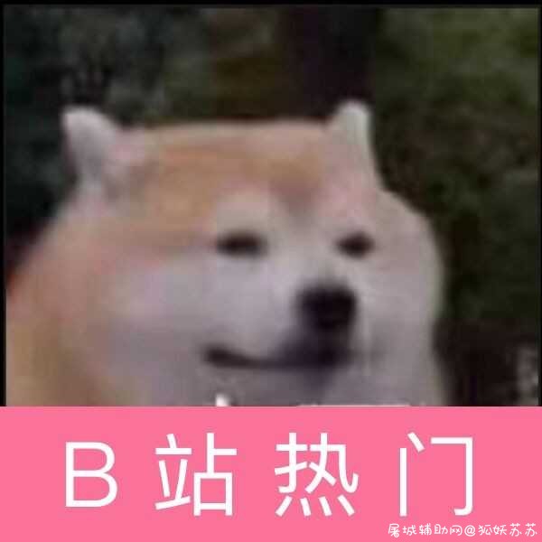 哔哩哔哩 大会员盒子版破解主题限制 TC辅助网www.tcsq1.com6250