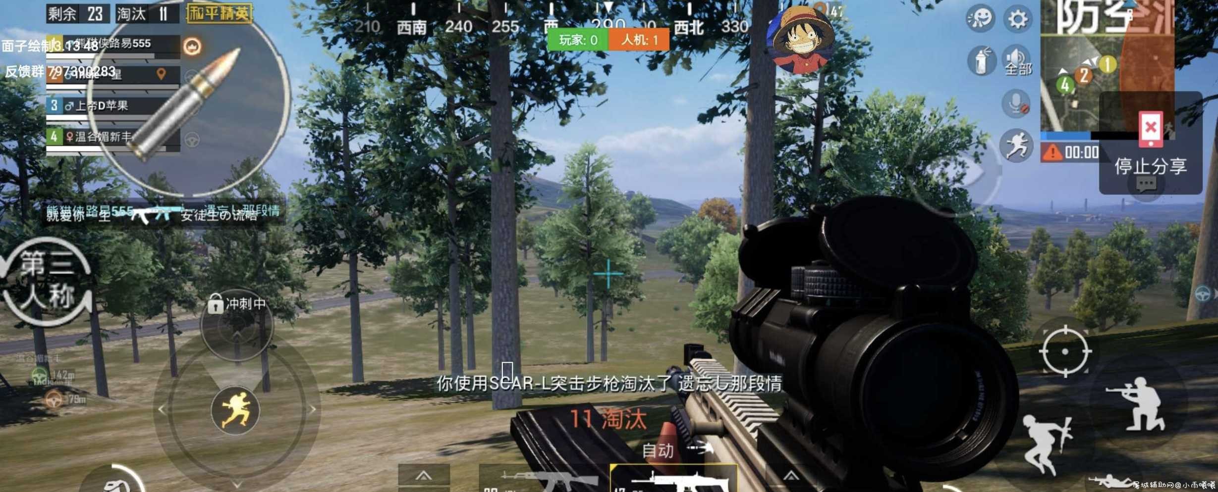 和平精英国服 面子绘制纯绿色稳定版本 TC辅助网www.tcsq1.com1076