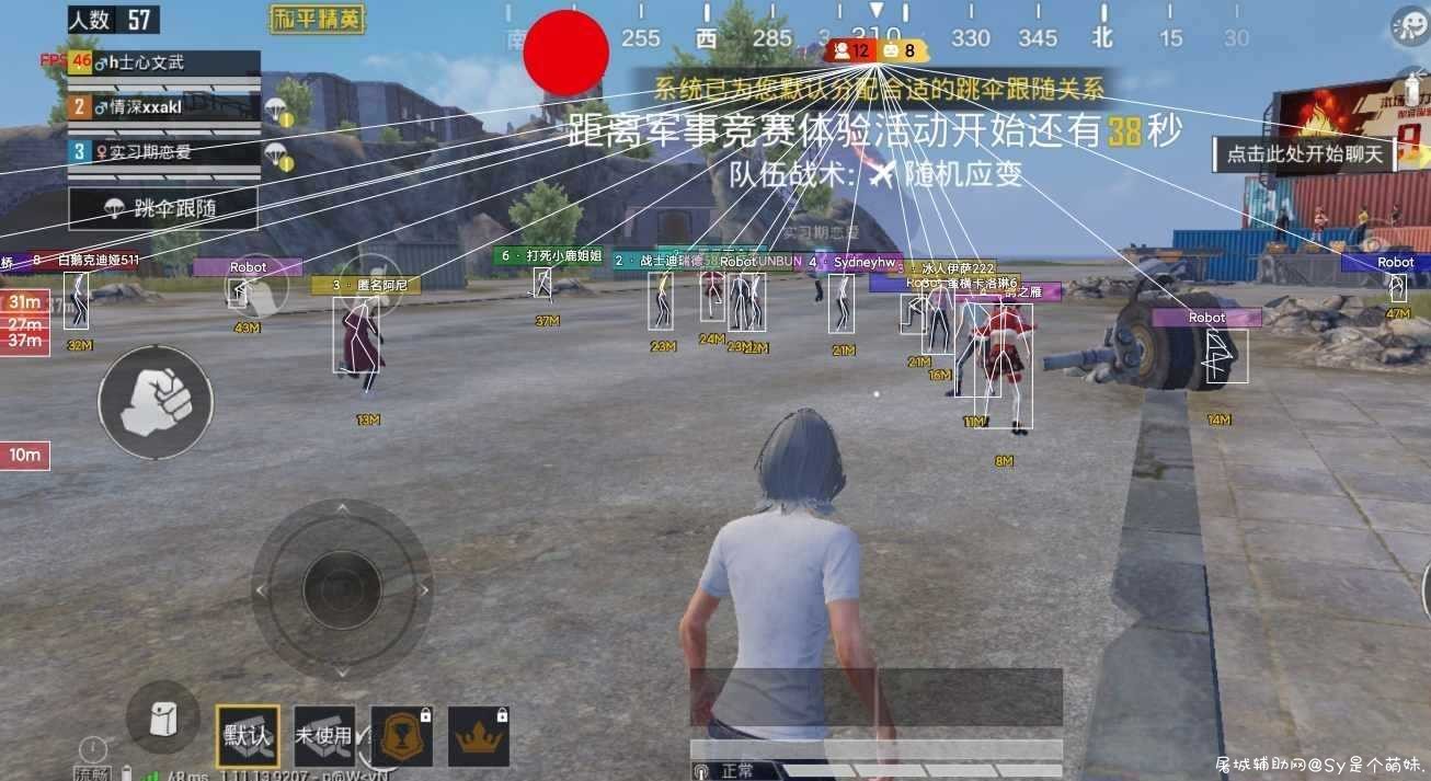和平精英国服裸奔绘，无需挂防！ TC辅助网www.tcsq1.com1933