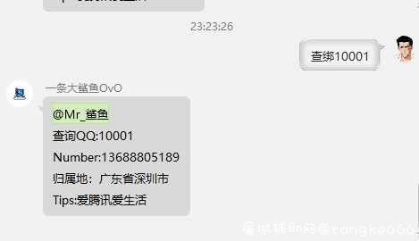 小栗子机器人查绑插件 机器人软件,TC辅助网www.tcsq1.com6309