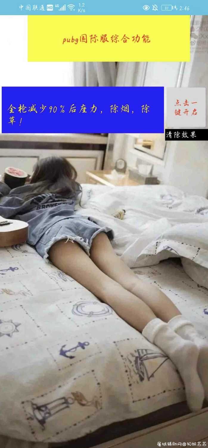 PUBG国际服1.4改文件裸奔 软件一键版 TC辅助网www.tcsq1.com8066