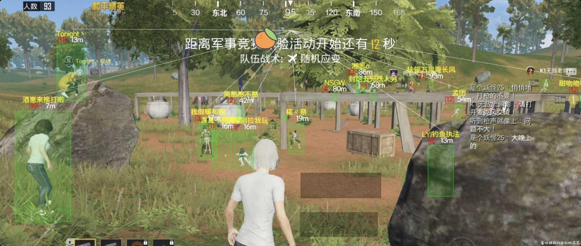 和平精英高仿雪花裸奔绘制 TC辅助网www.tcsq1.com3810