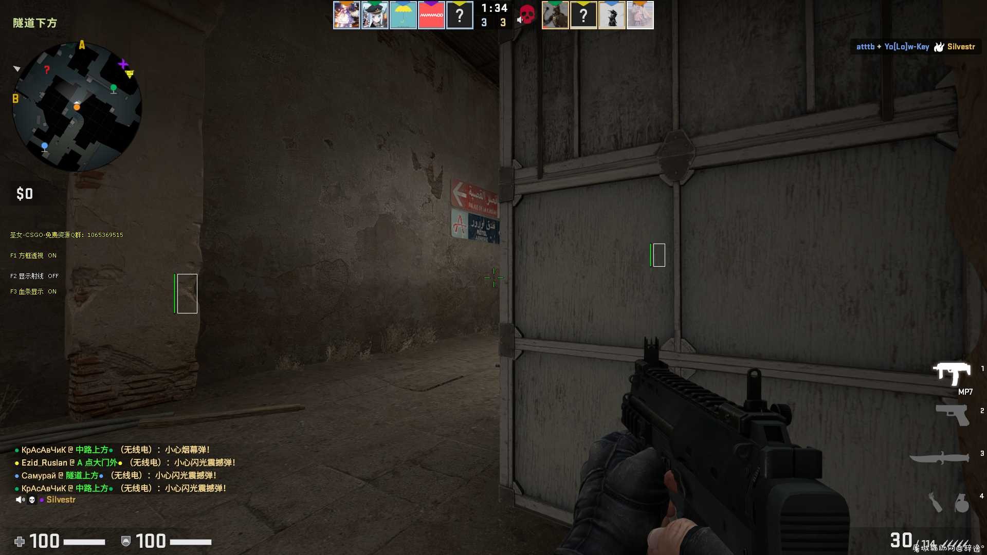 CSGO_圣女方框透视/显血射线助手V7.11 TC辅助网www.tcsq1.com2424