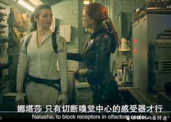 漫威寡姐的独立电影黑寡妇资源在线观看 TC辅助网www.tcsq1.com5521