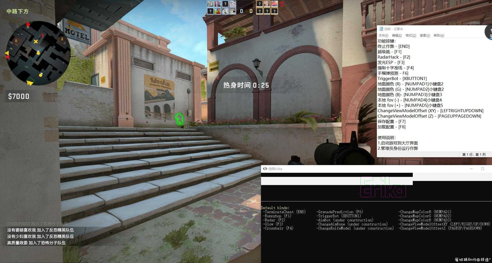 全球开箱CSGO·Erika多功能助手免费版·国外大牛制作 TC辅助网www.tcsq1.com4203