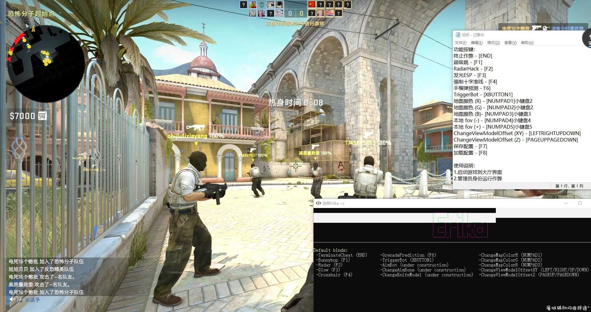 全球开箱CSGO·Erika多功能助手免费版·国外大牛制作 TC辅助网www.tcsq1.com4819