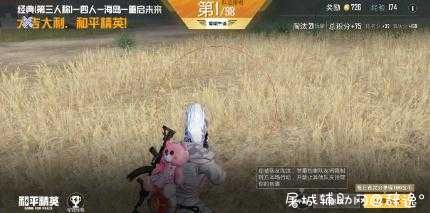 和平精英手游·美化包脚本V8.3免费版 TC辅助网www.tcsq1.com6365