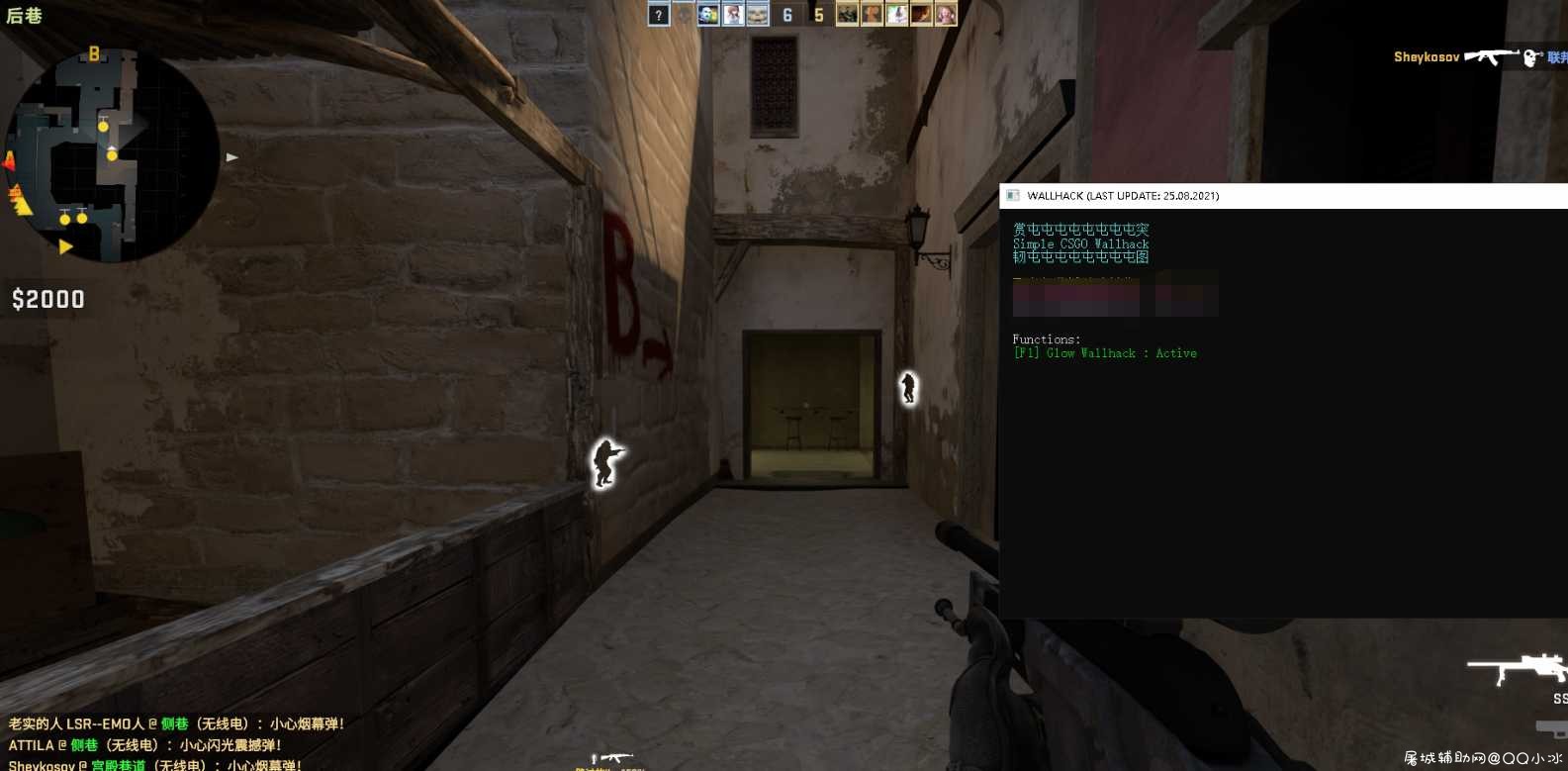 CSGO·WALLHACK_单版透视V8.27免费版 TC辅助网www.tcsq1.com8929