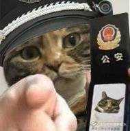 【一小央泽】 熊熊OK绷 不限速下载~ TC辅助网www.tcsq1.com7269